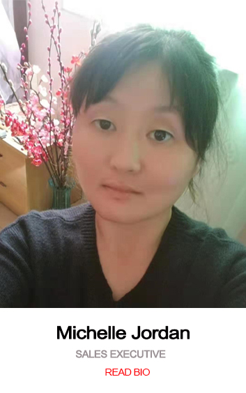 米歇尔·洪